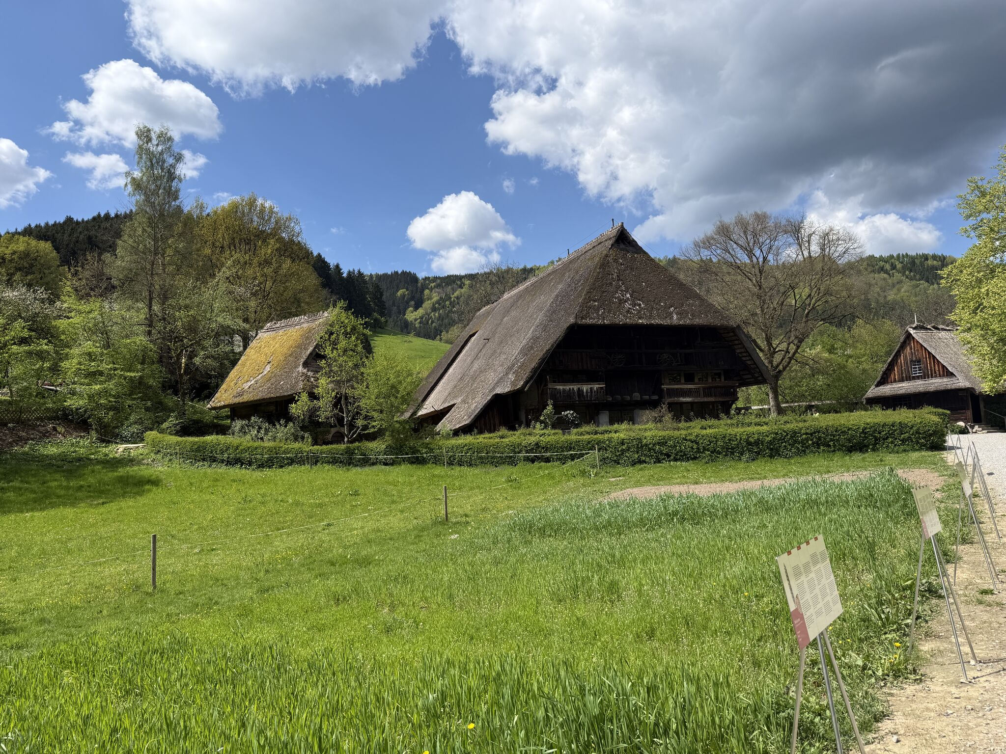 A preserved thatched-roof Black Forest farmhouse on a green hillside